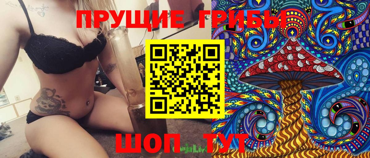 Галлюциногенные грибы GOLDEN TEACHER Карачаевск