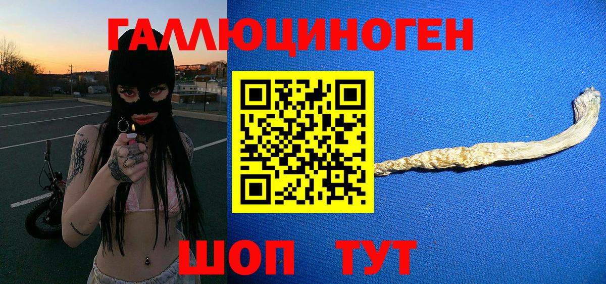 Псилоцибиновые грибы мицелий  Вход с VPN  Галлюциногенные грибы мицелий  где продают наркотики  Карачаевск 