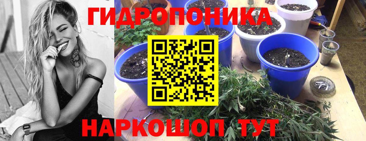 Карачаевск  Каннабис White Widow  МАРИХУАНА сатива  Вход с VPN  МАРИХУАНА план 